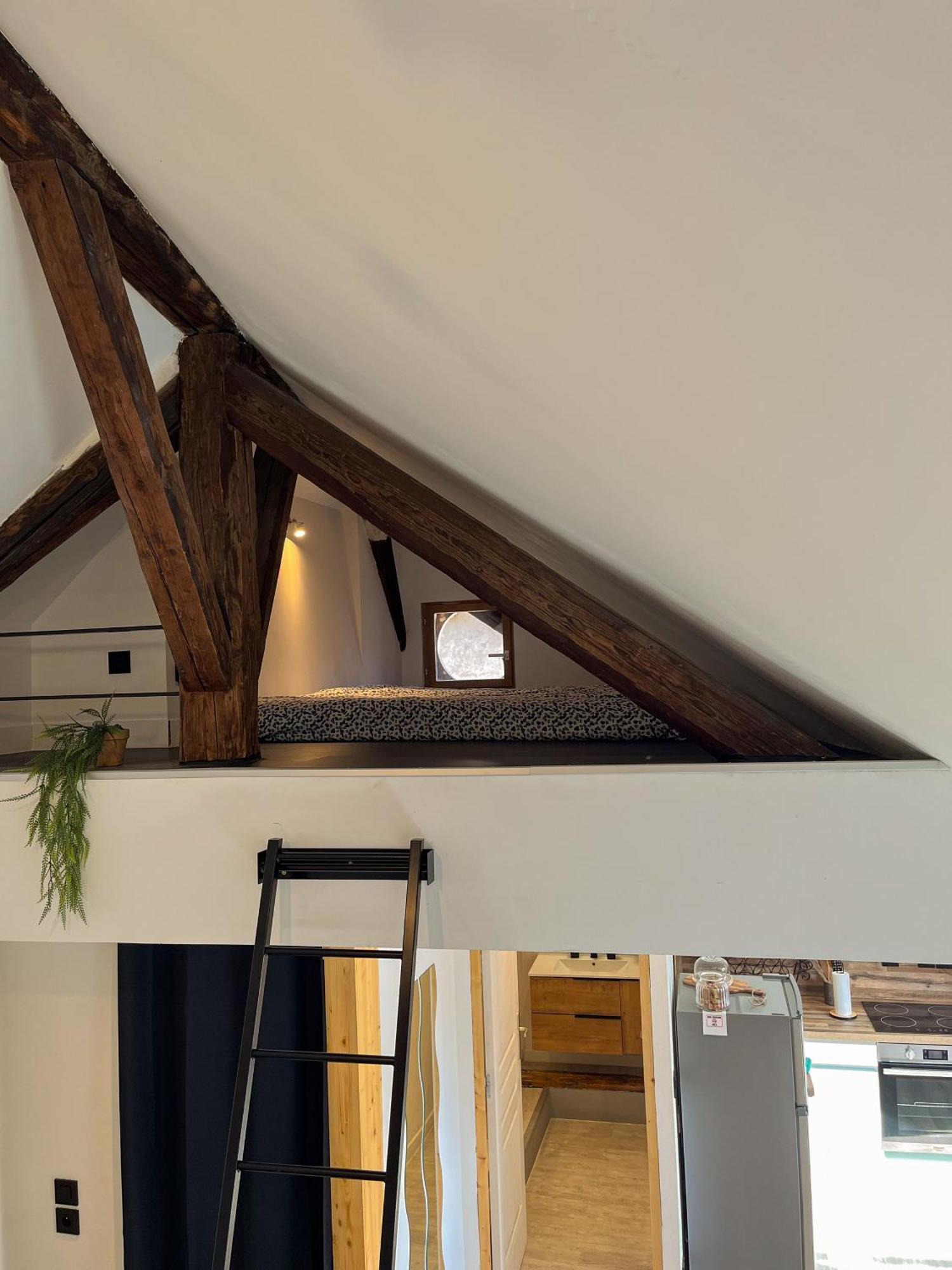 Ferienwohnung Cocon Sous Les Toits Albertville Exterior foto